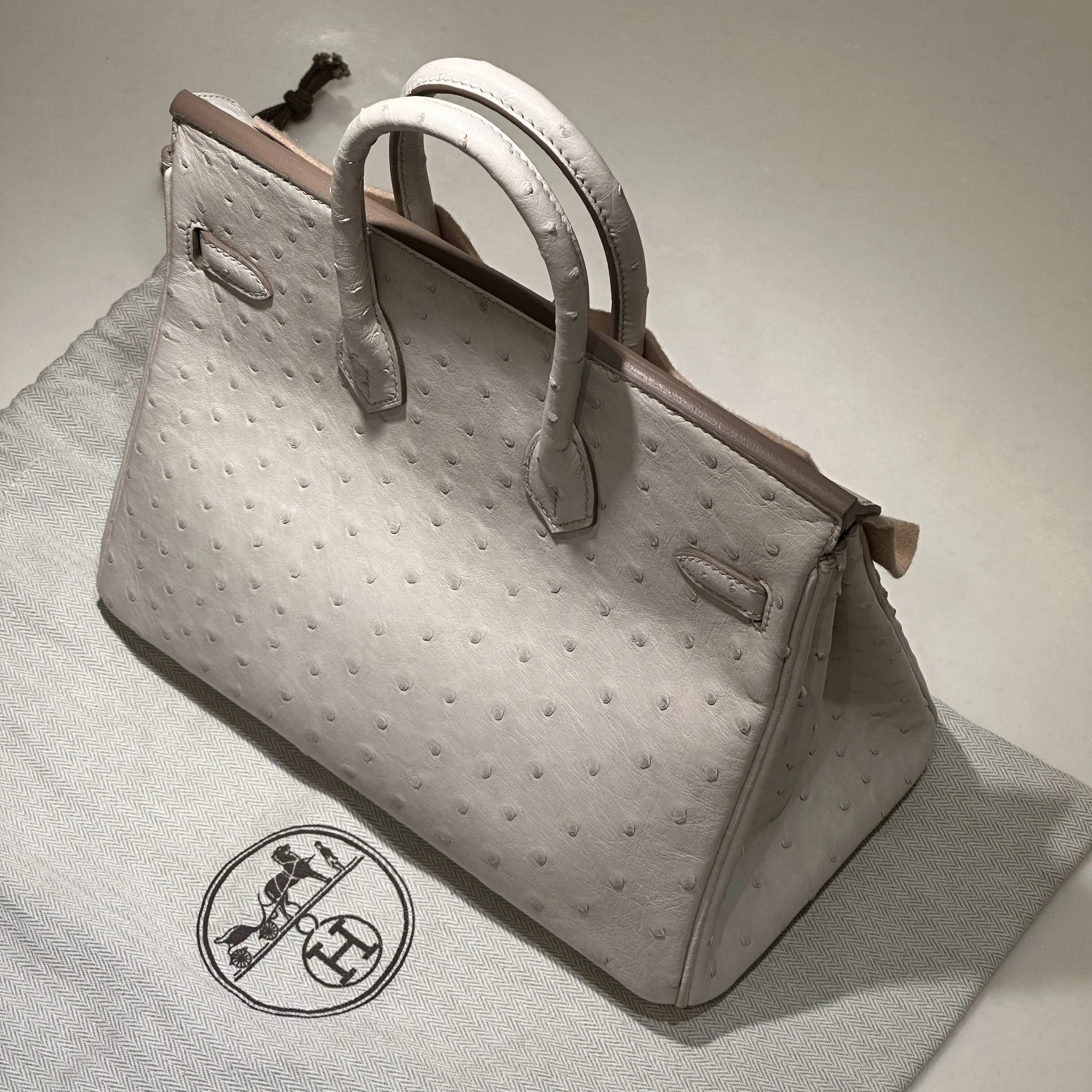 Hermes Birkin 25 Ostrich Leather GHW миниатюра 2