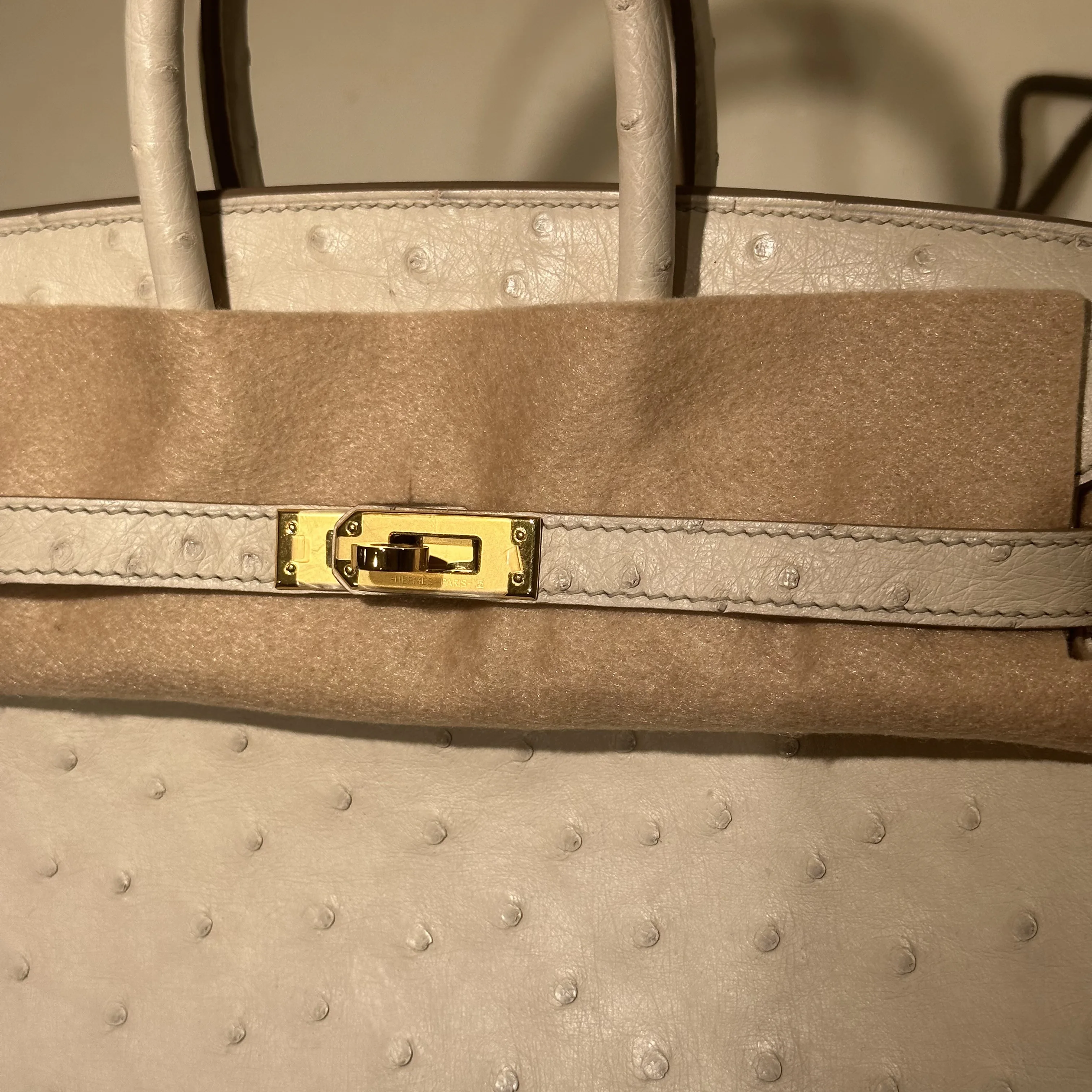 Hermes Birkin 25 Ostrich Leather GHW миниатюра 5