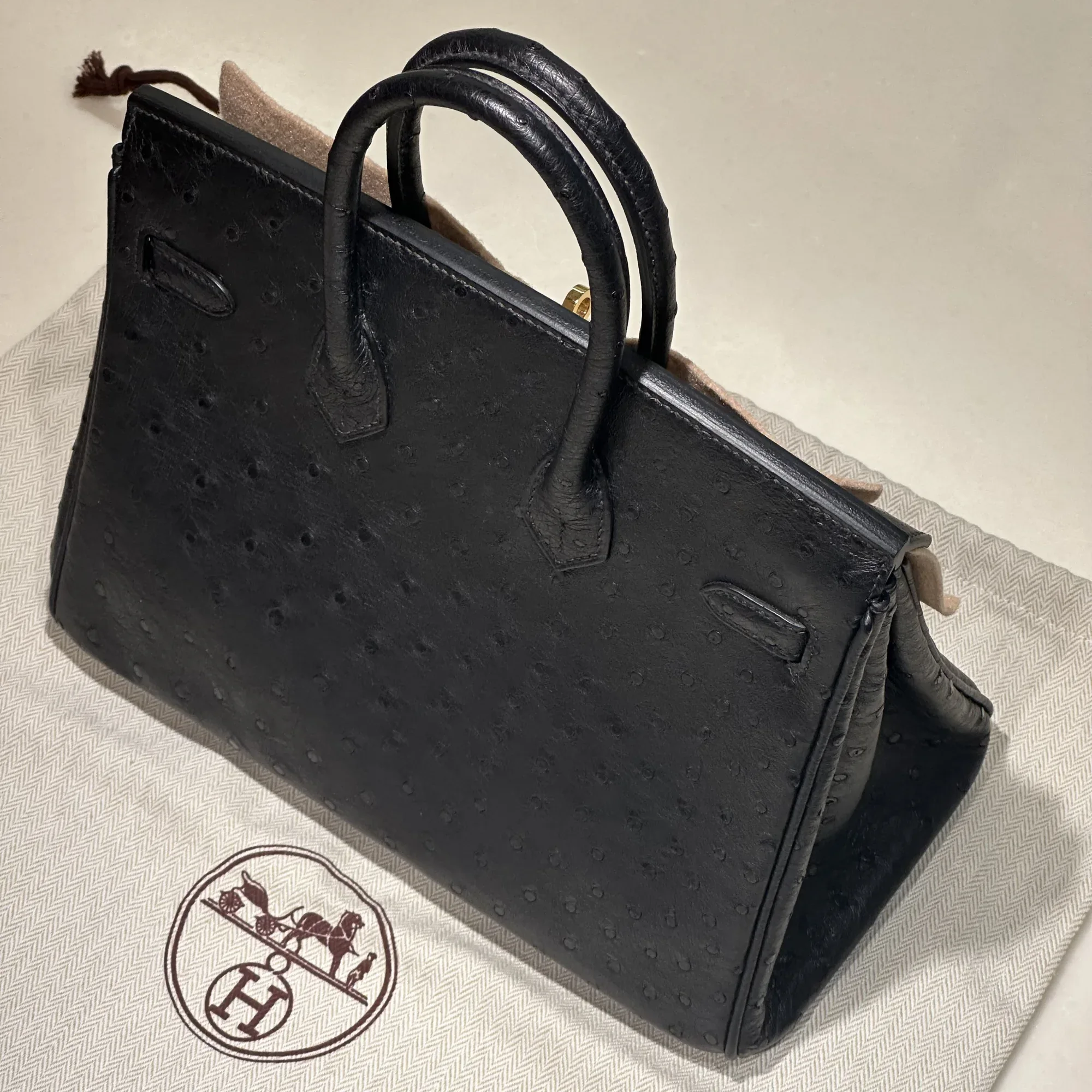 Hermes Birkin 25 cm Ostrich Leather Black миниатюра 10