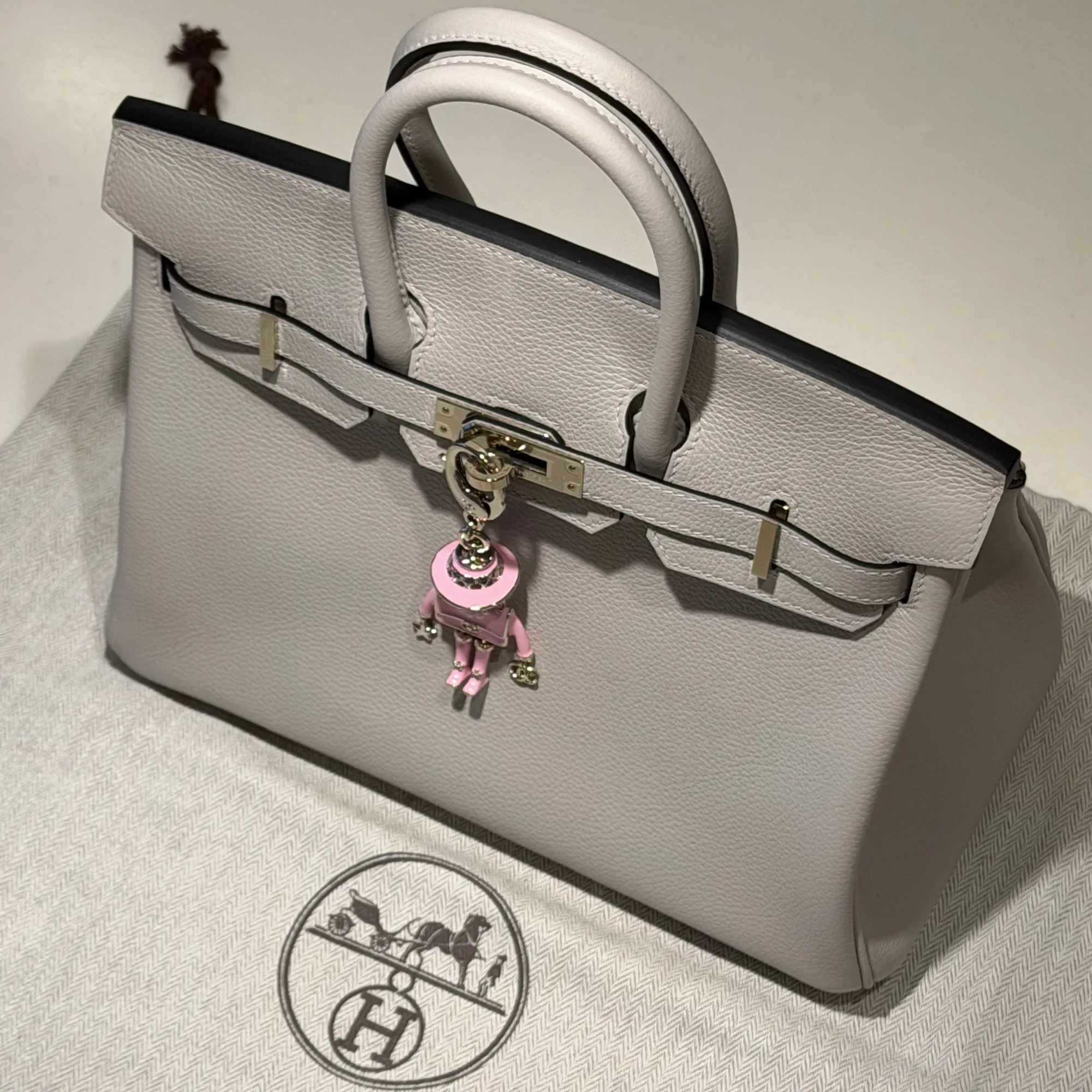 Hermes Birkin 25 Evercolor Leather Permabrass