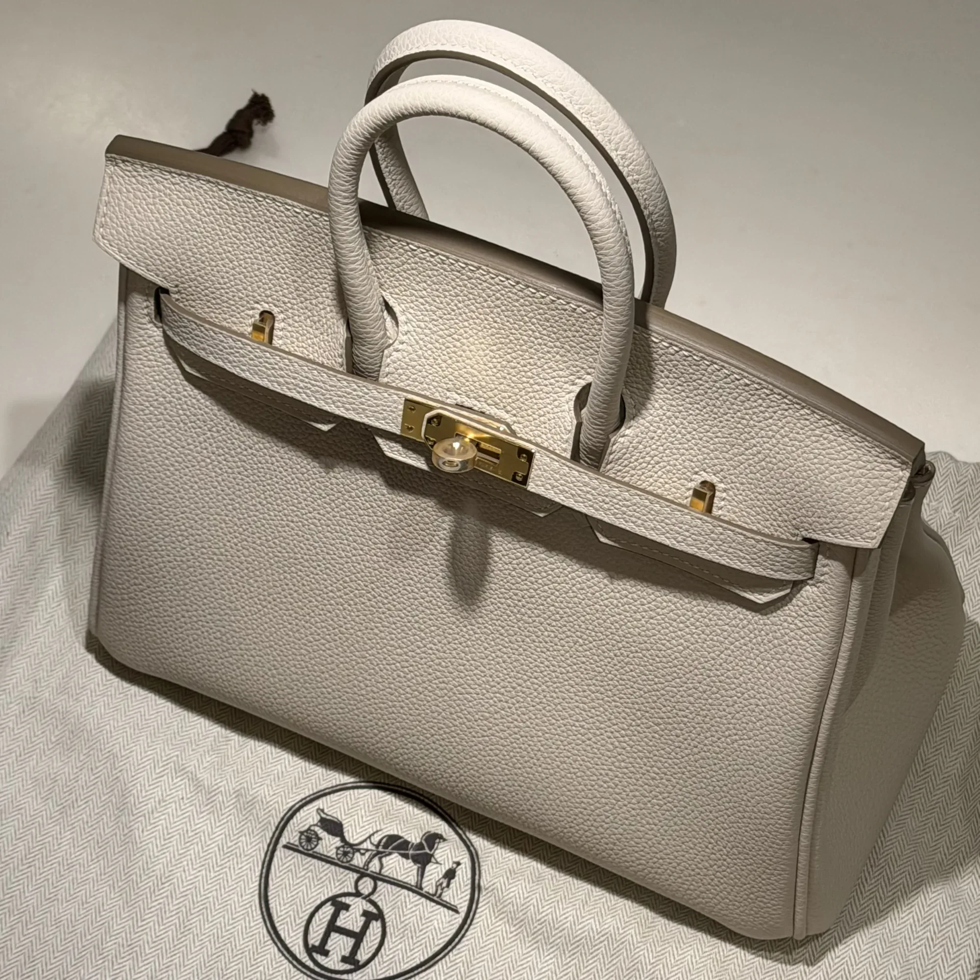 Hermes Birkin 25 Togo Leather GHW
