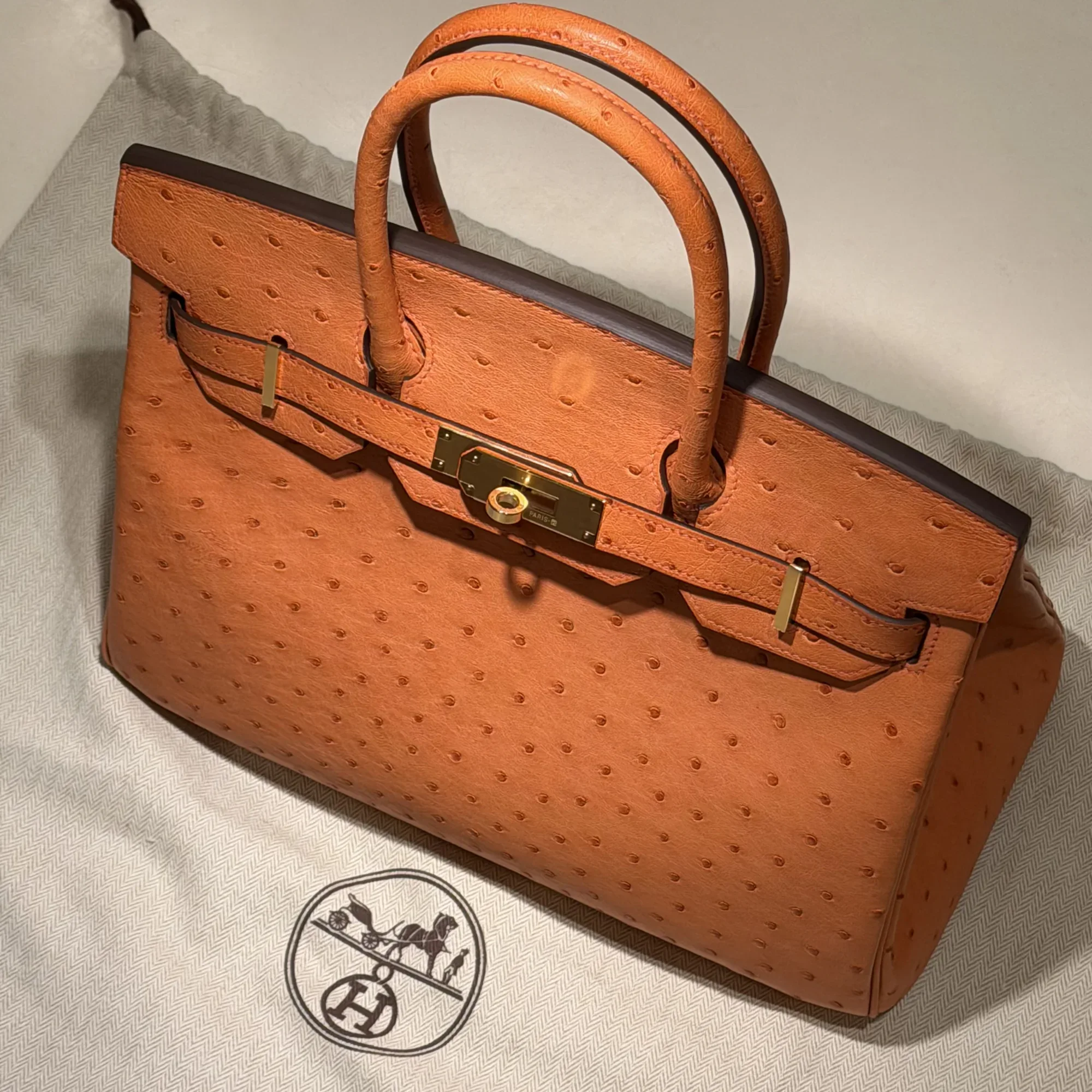 Hermes Birkin 30 Ostrich Leather GHW