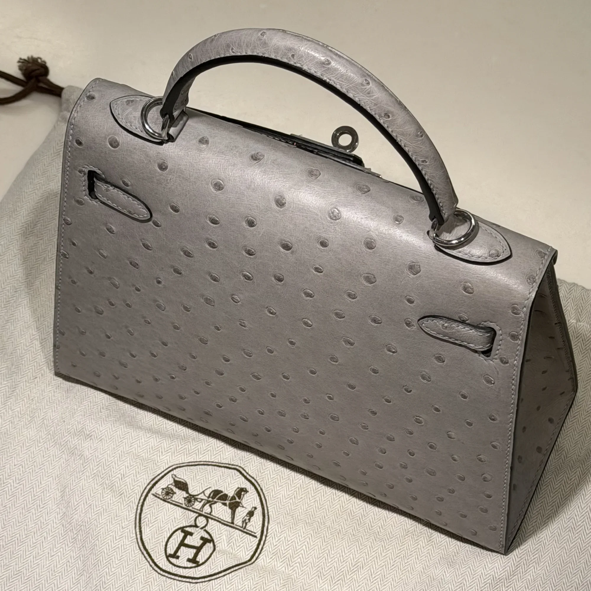 Hermes Kelly 25 Ostrich Leather PHW миниатюра 10